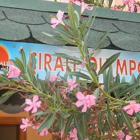 Olympos 3* Чирали