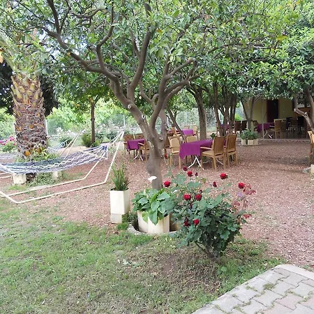 Olympos Otel Çıralı