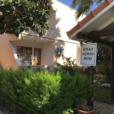 Olympos 3* Чирали