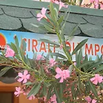 Olympos 3* Çıralı