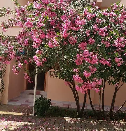 Hotel Olympos 3*