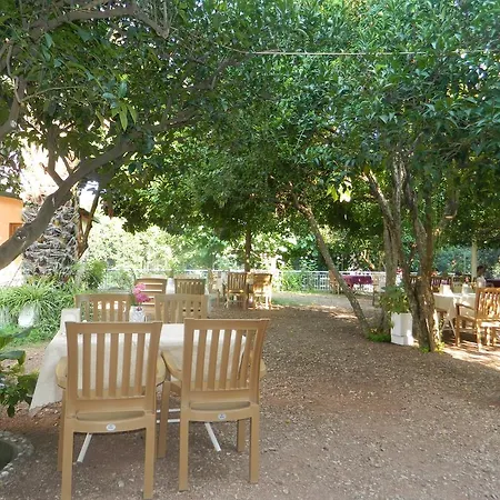 Olympos Hotel Cirali