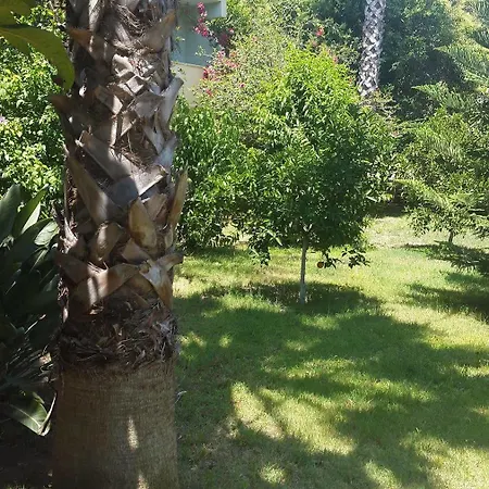 Olympos Cirali