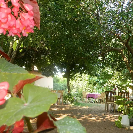 Hotel Olympos 3*