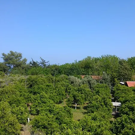 ホテル Olympos Çıralı