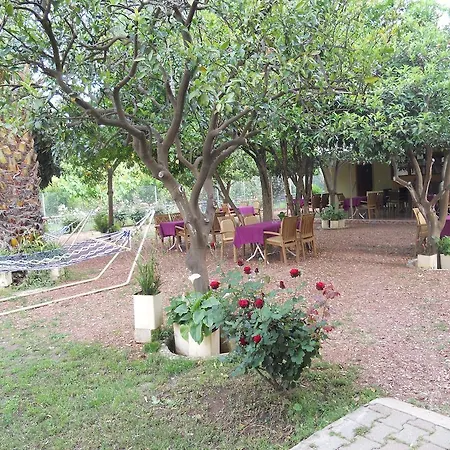 Olympos ホテル Çıralı
